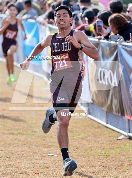 Thumbnail 3 in CIF Central Section Cross Country Championships (Boys D4 Race) photogallery.