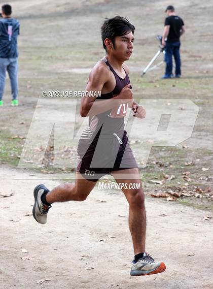 Thumbnail 3 in CIF Central Section Cross Country Championships (Boys D4 Race) photogallery.