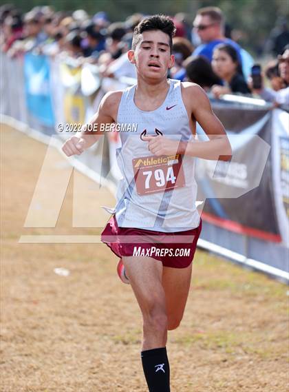 Thumbnail 3 in CIF Central Section Cross Country Championships (Boys D4 Race) photogallery.