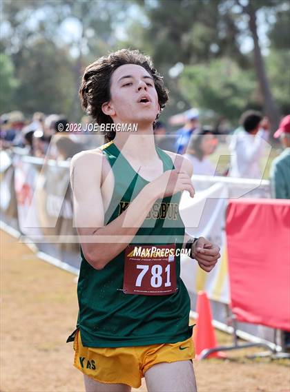 Thumbnail 1 in CIF Central Section Cross Country Championships (Boys D4 Race) photogallery.