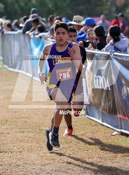 Thumbnail 1 in CIF Central Section Cross Country Championships (Boys D4 Race) photogallery.