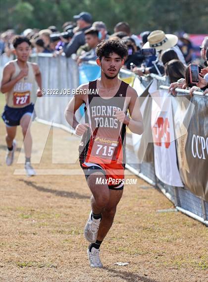Thumbnail 1 in CIF Central Section Cross Country Championships (Boys D4 Race) photogallery.