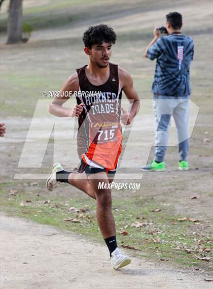 Thumbnail 1 in CIF Central Section Cross Country Championships (Boys D4 Race) photogallery.