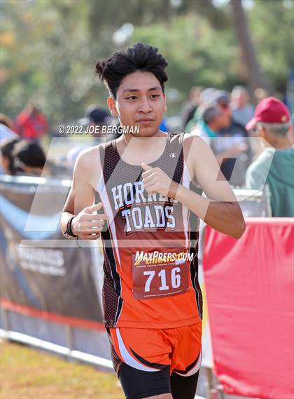 Thumbnail 1 in CIF Central Section Cross Country Championships (Boys D4 Race) photogallery.