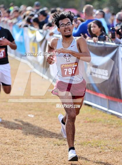 Thumbnail 3 in CIF Central Section Cross Country Championships (Boys D4 Race) photogallery.