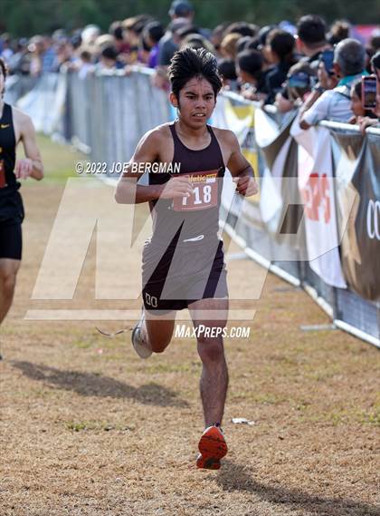 Thumbnail 2 in CIF Central Section Cross Country Championships (Boys D4 Race) photogallery.
