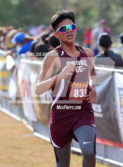 Thumbnail 1 in CIF Central Section Cross Country Championships (Boys D4 Race) photogallery.