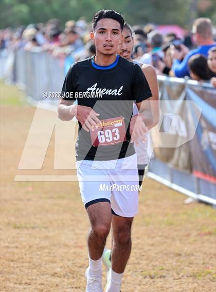 Thumbnail 1 in CIF Central Section Cross Country Championships (Boys D4 Race) photogallery.