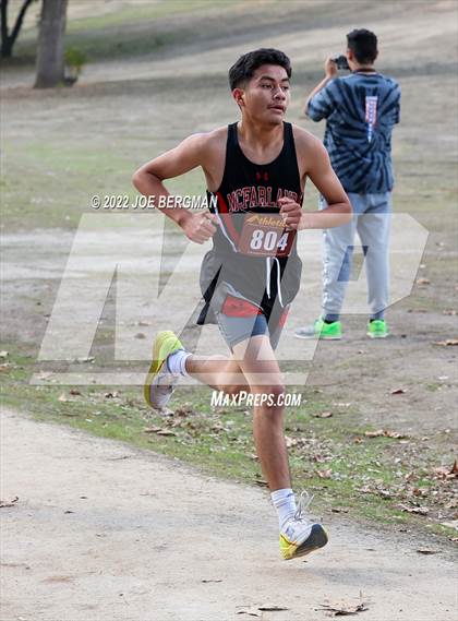Thumbnail 2 in CIF Central Section Cross Country Championships (Boys D4 Race) photogallery.