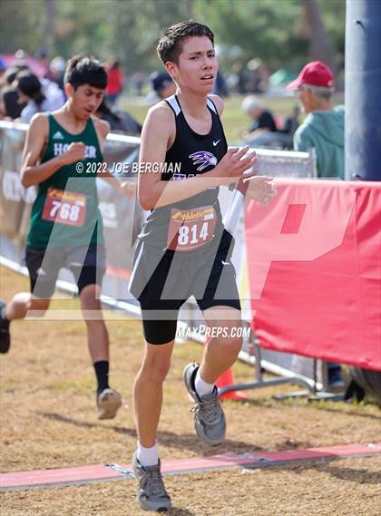 Thumbnail 1 in CIF Central Section Cross Country Championships (Boys D4 Race) photogallery.
