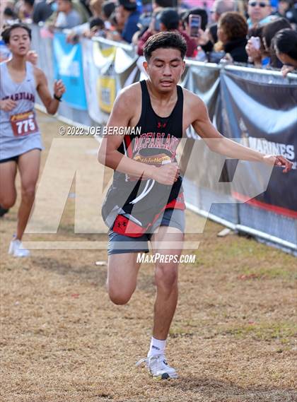 Thumbnail 3 in CIF Central Section Cross Country Championships (Boys D4 Race) photogallery.