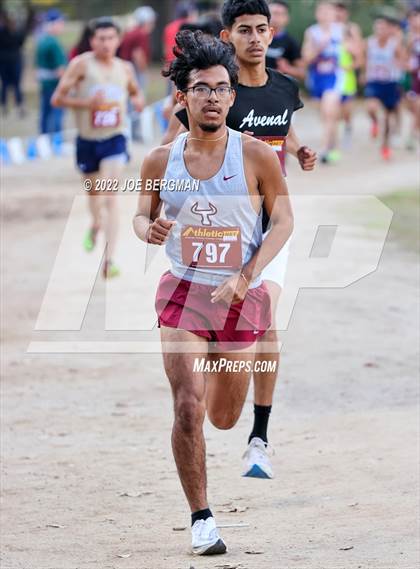 Thumbnail 3 in CIF Central Section Cross Country Championships (Boys D4 Race) photogallery.