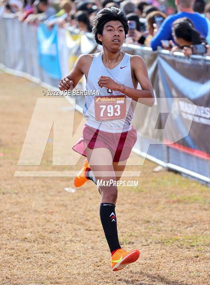 Thumbnail 1 in CIF Central Section Cross Country Championships (Boys D4 Race) photogallery.