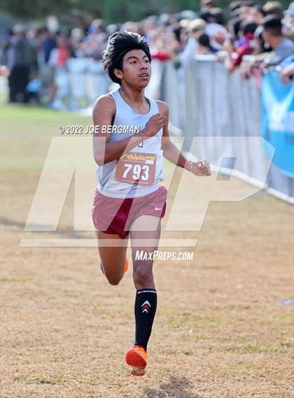Thumbnail 3 in CIF Central Section Cross Country Championships (Boys D4 Race) photogallery.