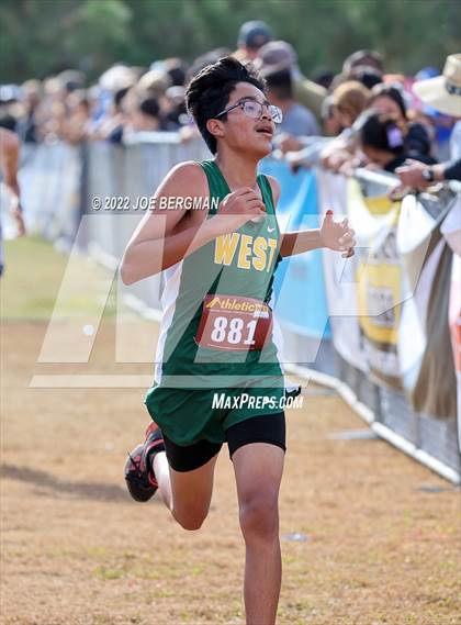 Thumbnail 1 in CIF Central Section Cross Country Championships (Boys D4 Race) photogallery.
