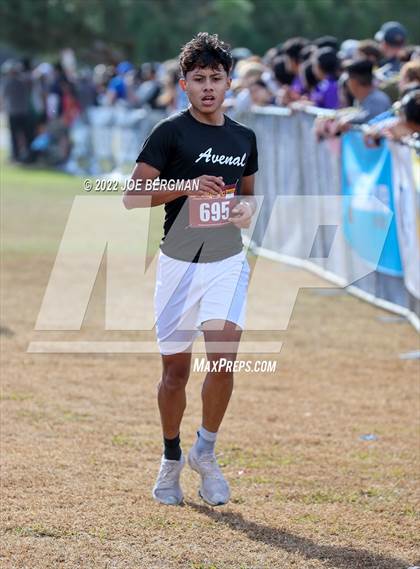 Thumbnail 2 in CIF Central Section Cross Country Championships (Boys D4 Race) photogallery.