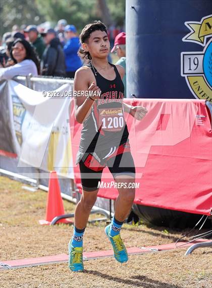 Thumbnail 3 in CIF Central Section Cross Country Championships (Boys D4 Race) photogallery.