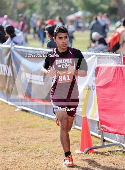 Thumbnail 2 in CIF Central Section Cross Country Championships (Boys D4 Race) photogallery.