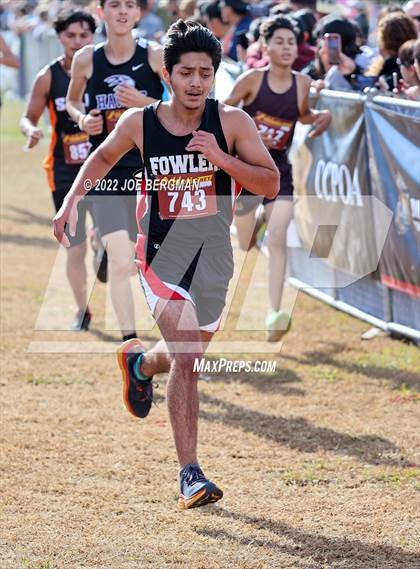 Thumbnail 1 in CIF Central Section Cross Country Championships (Boys D4 Race) photogallery.