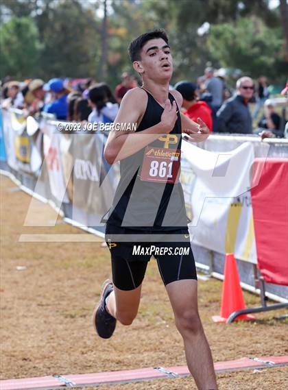 Thumbnail 1 in CIF Central Section Cross Country Championships (Boys D4 Race) photogallery.