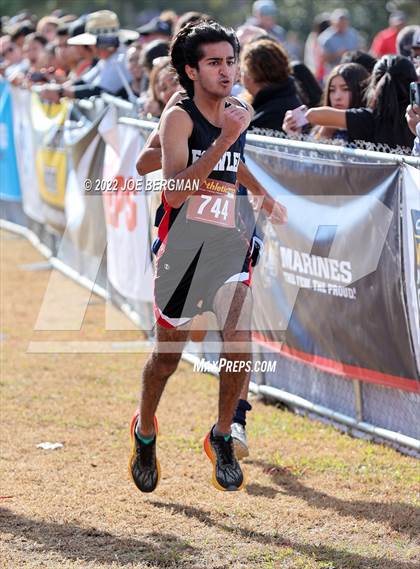 Thumbnail 1 in CIF Central Section Cross Country Championships (Boys D4 Race) photogallery.