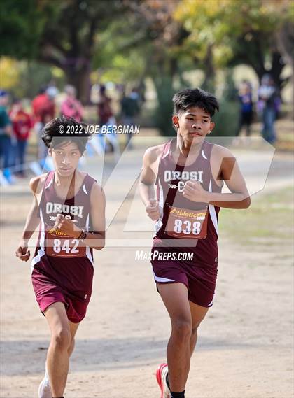 Thumbnail 3 in CIF Central Section Cross Country Championships (Boys D4 Race) photogallery.
