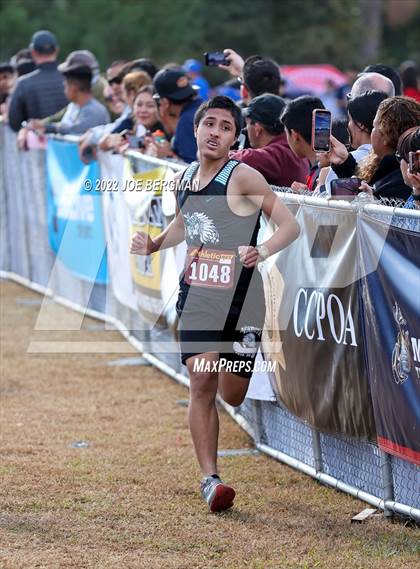 Thumbnail 3 in CIF Central Section Cross Country Championships (Boys D4 Race) photogallery.