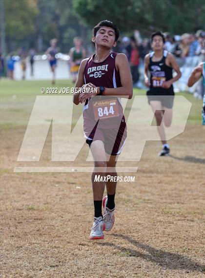 Thumbnail 1 in CIF Central Section Cross Country Championships (Boys D4 Race) photogallery.