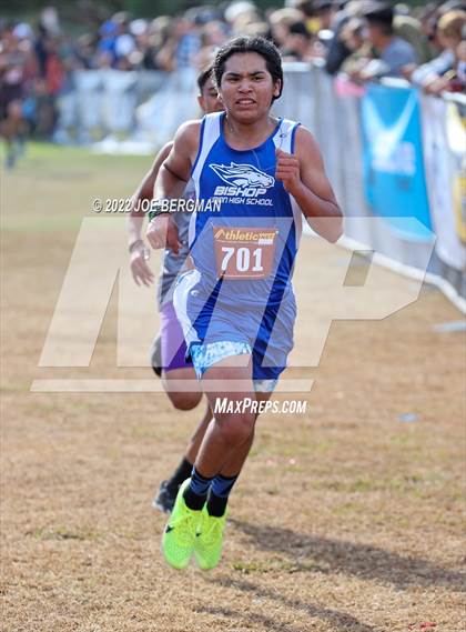 Thumbnail 1 in CIF Central Section Cross Country Championships (Boys D4 Race) photogallery.