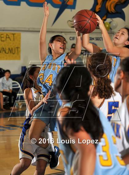 Thumbnail 1 in Charter Oak @ Walnut photogallery.