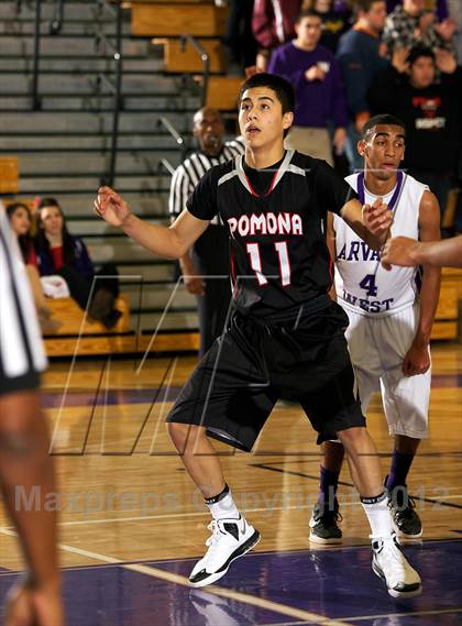 Thumbnail 1 in Pomona @ Arvada West photogallery.