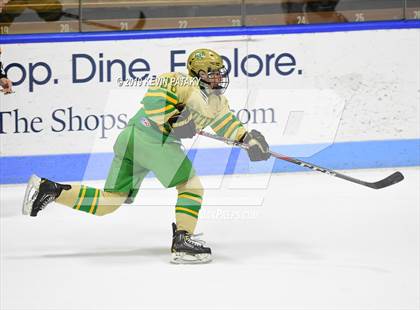 Thumbnail 2 in Notre Dame, WH vs. Fairfield Prep (CIAC D1 Final) photogallery.