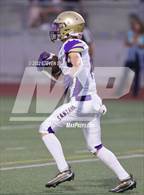 Photo from the gallery "Santana @ Point Loma"