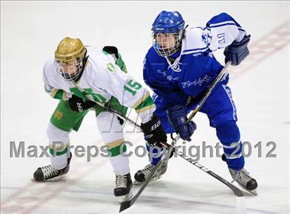 Thumbnail 3 in West Haven vs. Notre Dame (CIAC Division I Semifinal) photogallery.