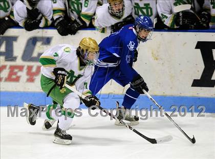 Thumbnail 1 in West Haven vs. Notre Dame (CIAC Division I Semifinal) photogallery.