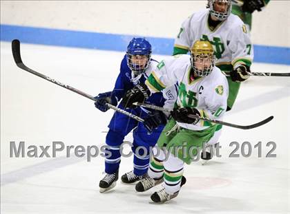 Thumbnail 1 in West Haven vs. Notre Dame (CIAC Division I Semifinal) photogallery.