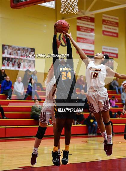 Thumbnail 3 in Bishop O'Dowd @ Cardinal Newman (Cardinal Newman Classic) photogallery.