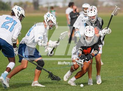 Thumbnail 3 in Sarasota vs Newsome photogallery.