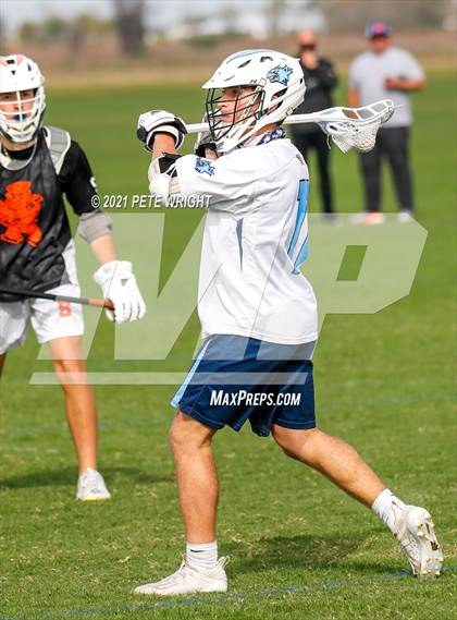 Thumbnail 3 in Sarasota vs Newsome photogallery.