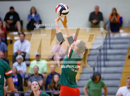 Thumbnail 2 in Grand Oaks @ The Woodlands photogallery.