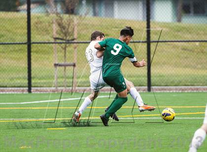 Thumbnail 2 in Alisal @ Archbishop Mitty photogallery.