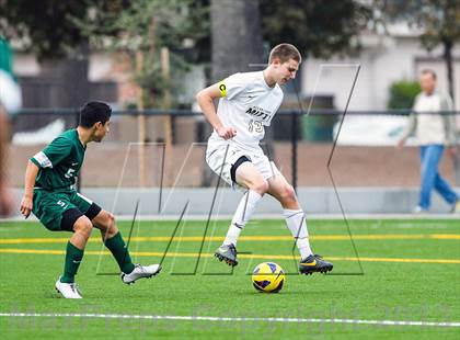 Thumbnail 1 in Alisal @ Archbishop Mitty photogallery.