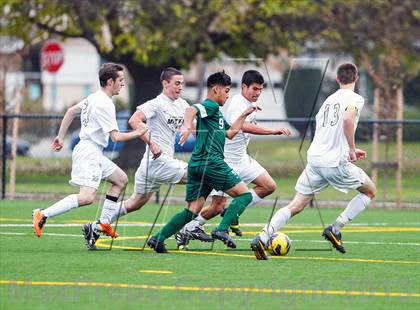 Thumbnail 3 in Alisal @ Archbishop Mitty photogallery.