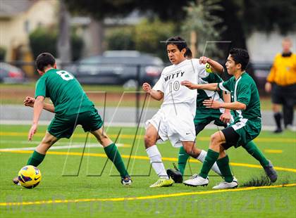Thumbnail 3 in Alisal @ Archbishop Mitty photogallery.