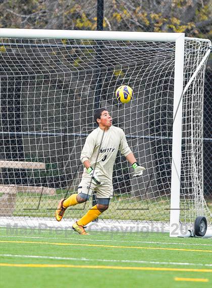 Thumbnail 3 in Alisal @ Archbishop Mitty photogallery.