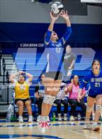Photo from the gallery "Izard County @ Cotter"