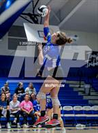 Photo from the gallery "Izard County @ Cotter"