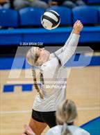Photo from the gallery "Izard County @ Cotter"