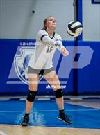 Photo from the gallery "Izard County @ Cotter"