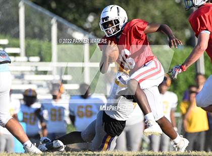 Thumbnail 2 in St. Augustine @ Archbishop Rummel photogallery.
